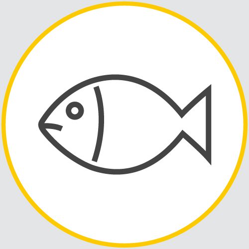 a drawing of the outline of a fish encased in a yellow circle