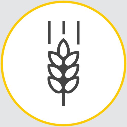 a drawing of the outline of a wheat stalk encased in a yellow circle
