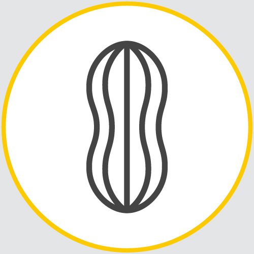 a drawing of the outline of a peanut encased in a yellow circle