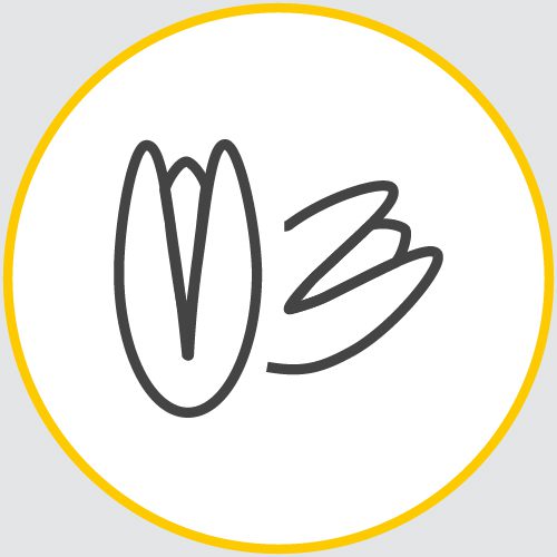 a drawing of the outline of a couple of partially opened nuts encased in a yellow circle
