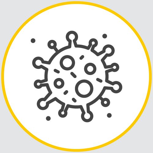 a drawing of the outline of a virus encased in a yellow circle